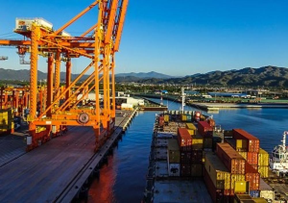 ICTSI Mexico beefs up capacity with new cranes