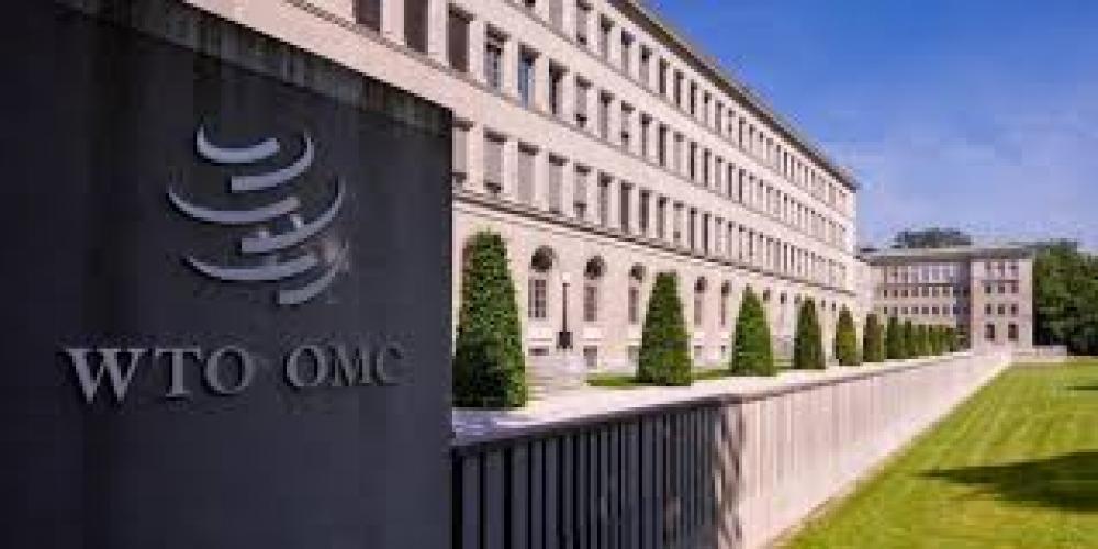 WTO helps transform international economic relations in past 25 years: Azevedo